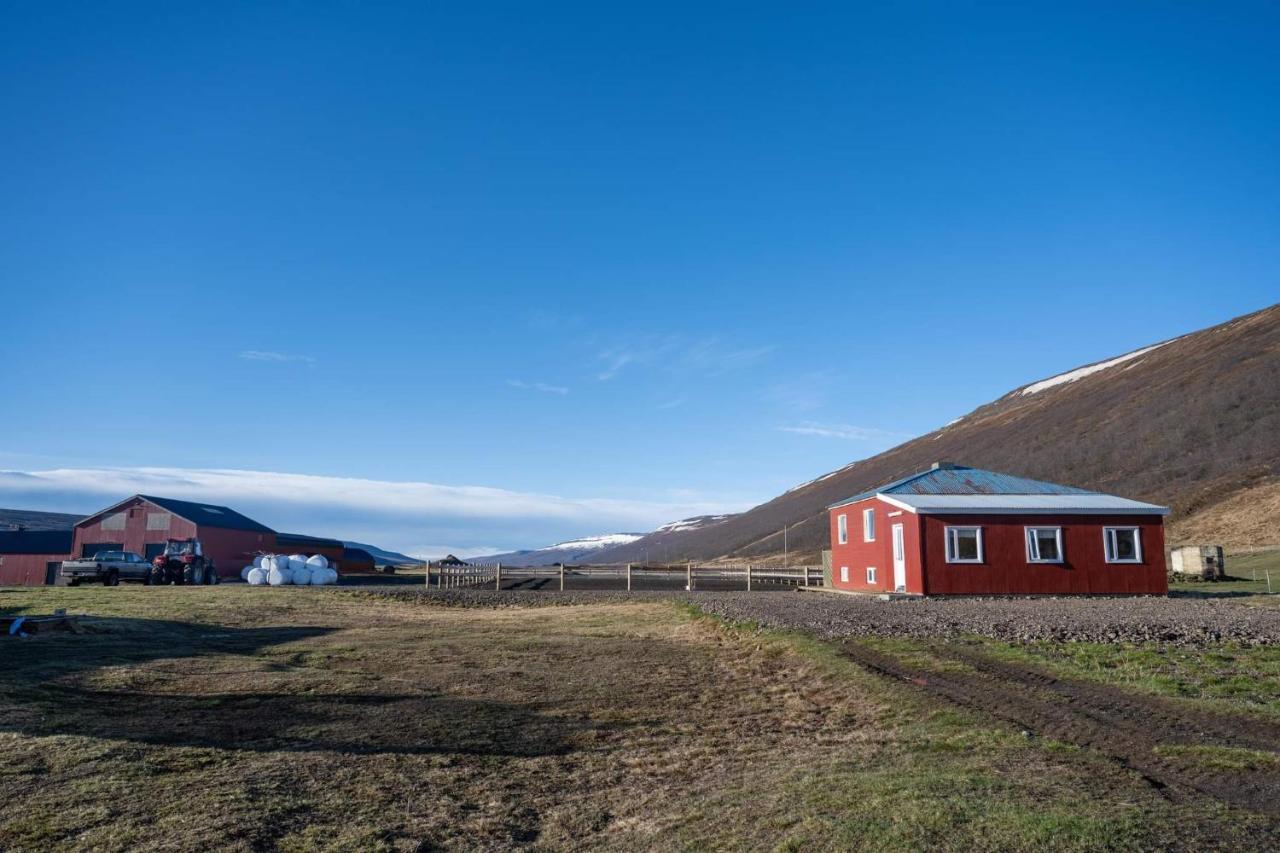 Sandhaugar Guesthouse Thingeyjarsveit Exterior foto